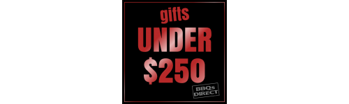 GIFTS UNDER $250