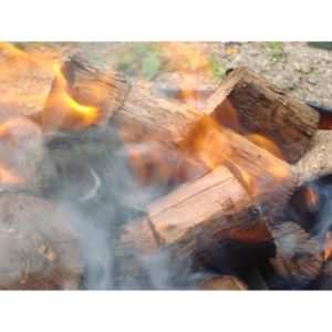 Manuka stick wood.jpg