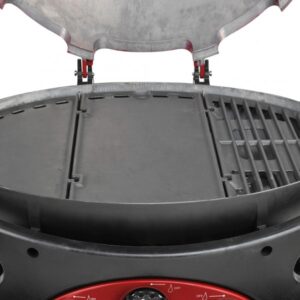 Zig triple rev lg hotplate.jpg